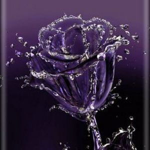 Meet your Posher, Alicia